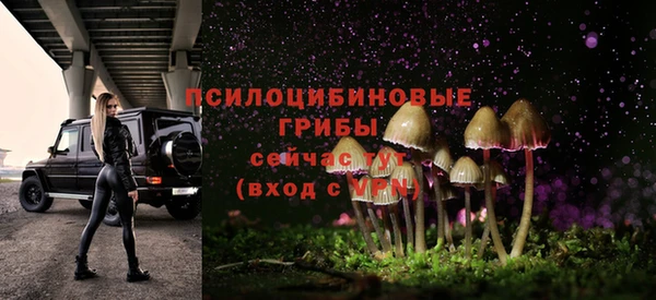 твердый Няндома
