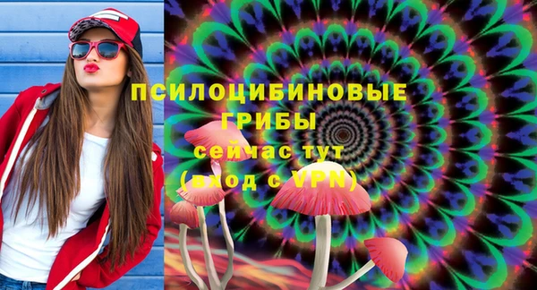 спайс Михайлов