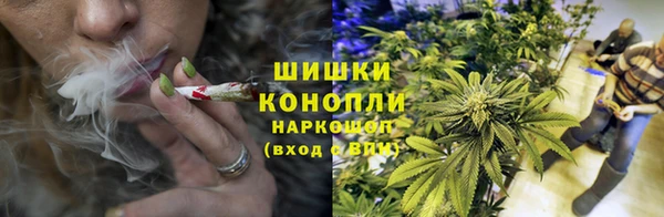 спайс Михайлов