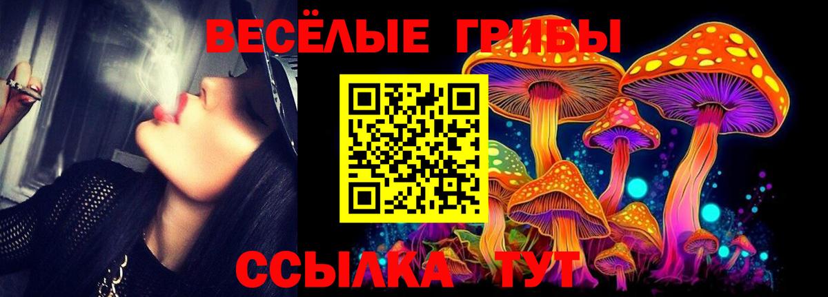 Галлюциногенные грибы Cubensis Липецк
